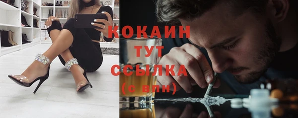 соль ск Алексеевка